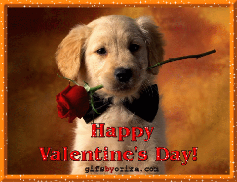 Happy valentine's day