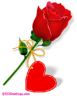 I love you, red rose