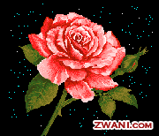 I heart U, with a red rose